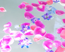 ���i�C���[�W5